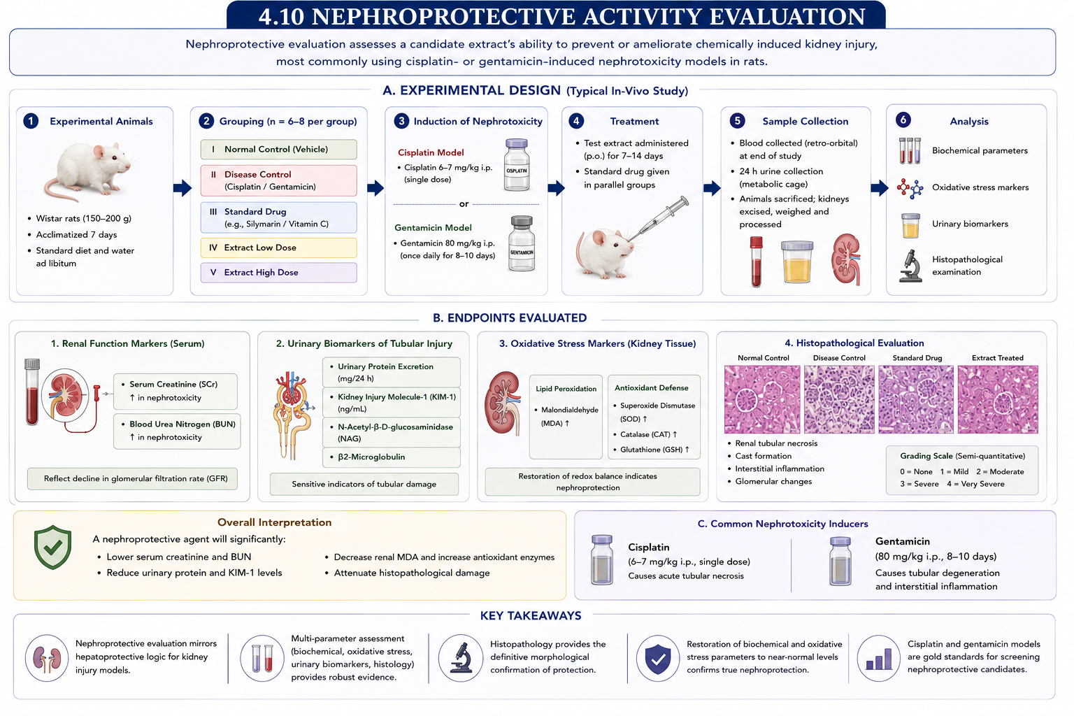 Ultrasound-assisted extraction (UAE): principle, workflow, key parameters, advantages, suitability, and comparison with maceration